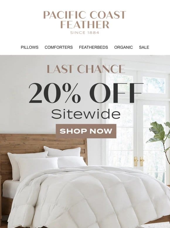 Don’t Wait! 20% OFF Sitewide Ends at Midnight