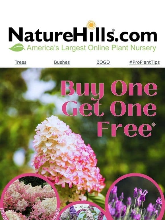 Double the fun this spring with buy one get one FREE!