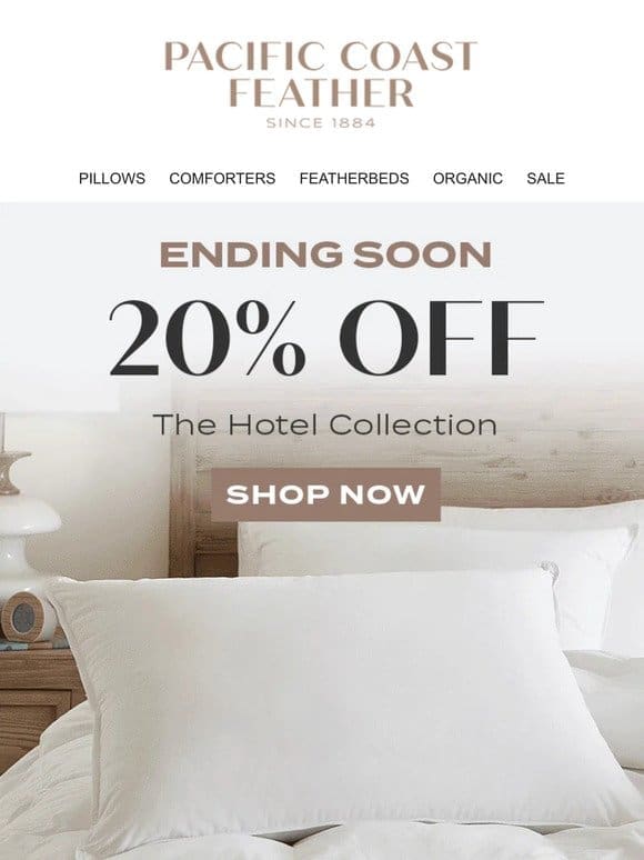 ENDING SOON: Luxury Comforters & The Hotel Collection!