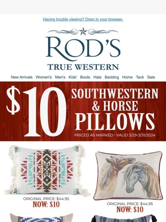 ENDS SUNDAY! ONLY $10 For Southwestern & Horse Pillows