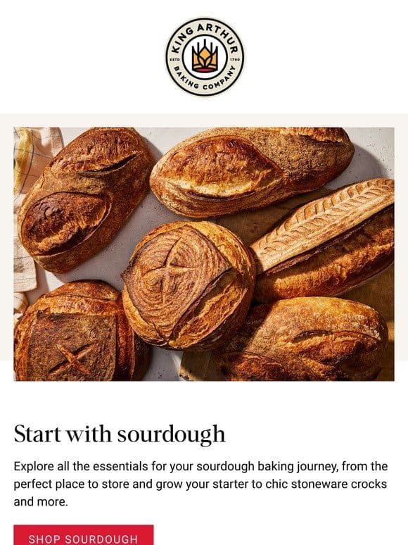 Everything Sourdough This Way ➡️