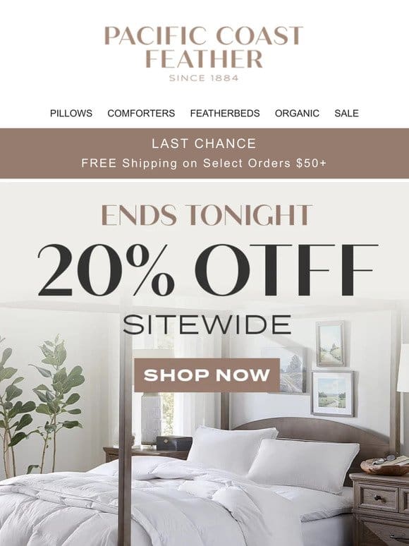 FINAL DAY: 20% OFF Sitewide