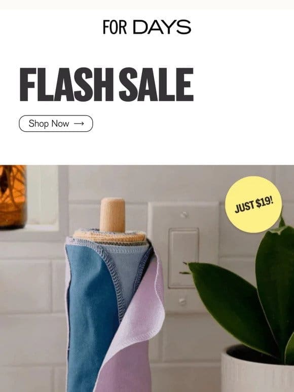 FLASH SALE: Reusable Paper Towels