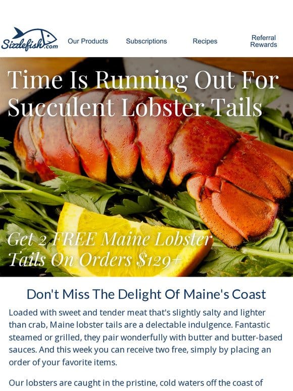 FREE Maine Lobster Tails Won’t Last Much Longer!
