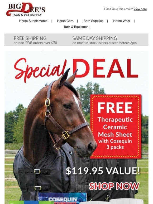 FREE Therapy DEAL up to $119.95 VALUE