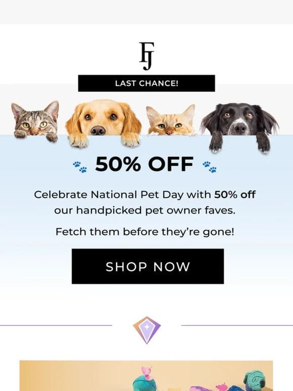 Fetch 50% OFF before it’s gone!