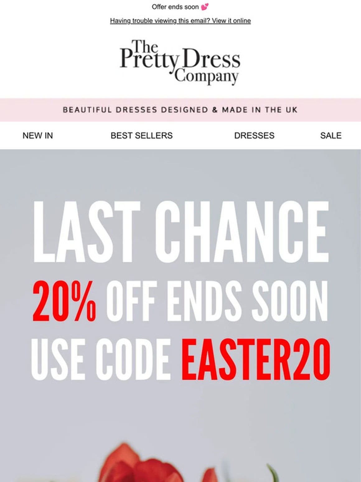 Final few hours for 20% off