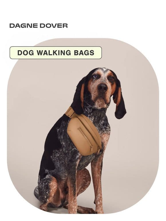 For your dog walks.