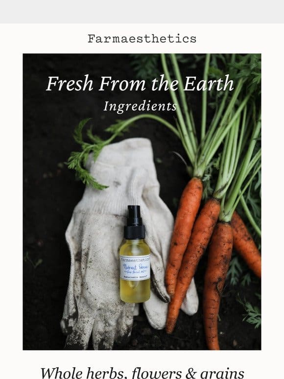 Fresh From the Earth Ingredients