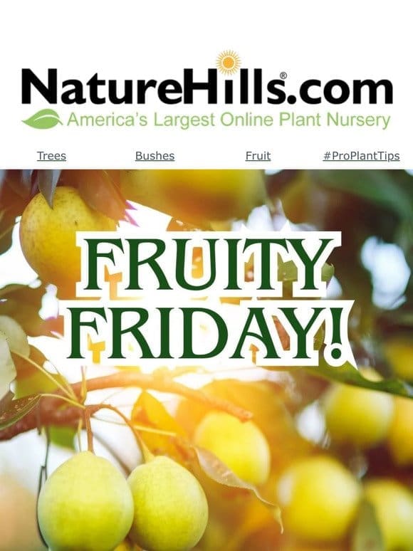 Fruity Friday! All fruit plants up to 55% off!