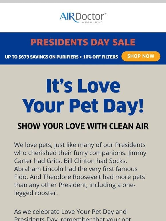Give Your Pet the Gift of Clean Air