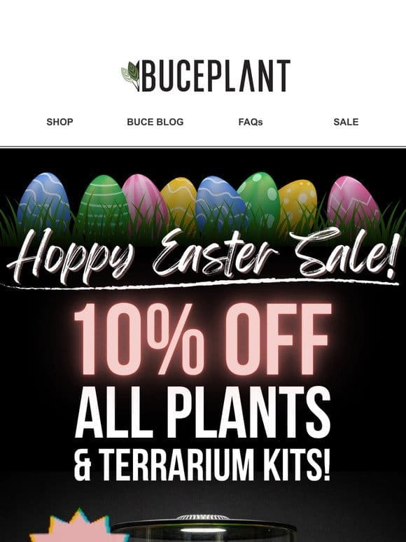 Here’s 10% OFF Plants & Terrarium Kits for Easter