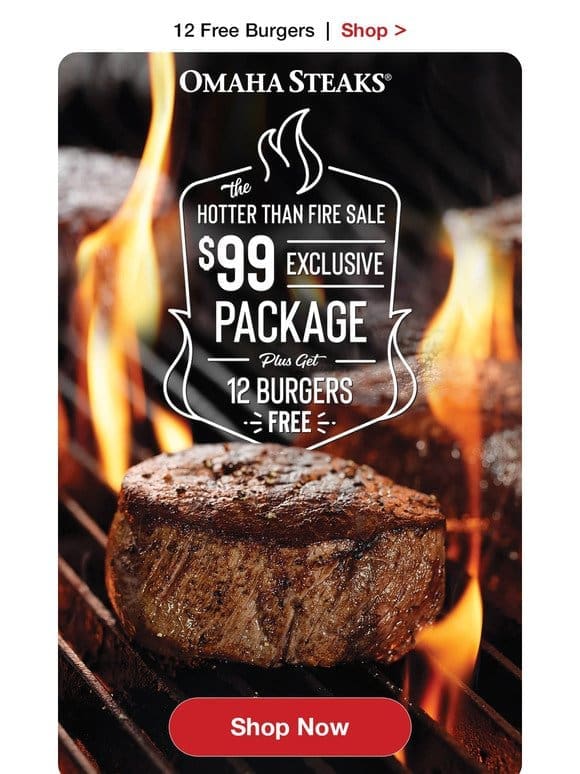 Hot! $99 package + 12 FREE burgers + 50% off!
