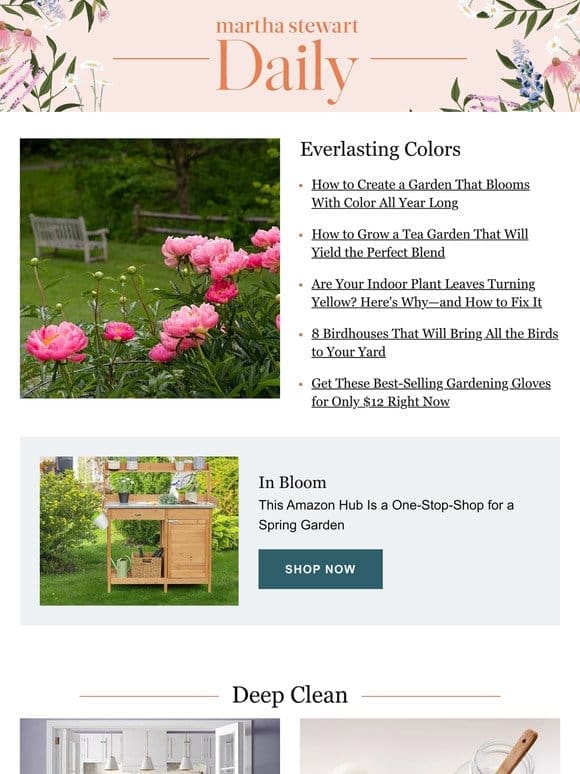 How to Create a Garden That Blooms With Color All Year Long