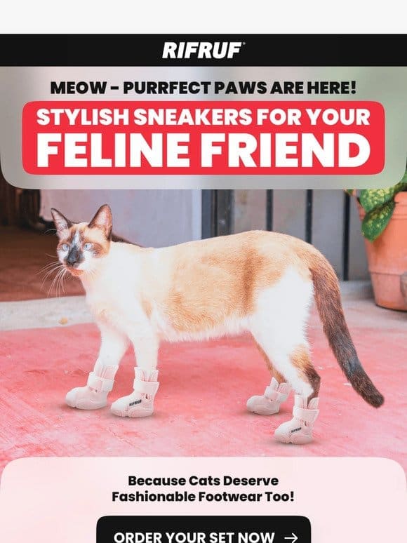 Introducing Purrfect Paws – Stylish Sneakers for Your Feline Friend!