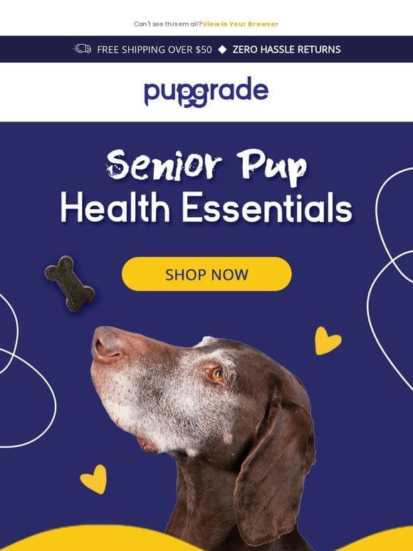 Is Senior Dog Food Necessary? Here’s the Scoop!