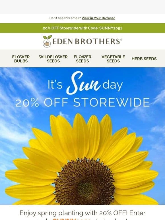It’s SUN-day! ☀️ Get 20% Off Everything.