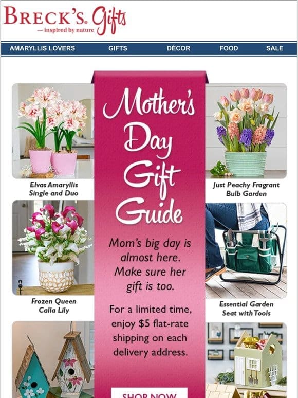 Just $5 to ship ANY Mother’s Day gift!