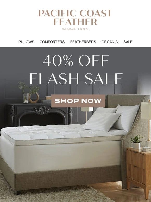 Just In! 40% OFF Flash Sale