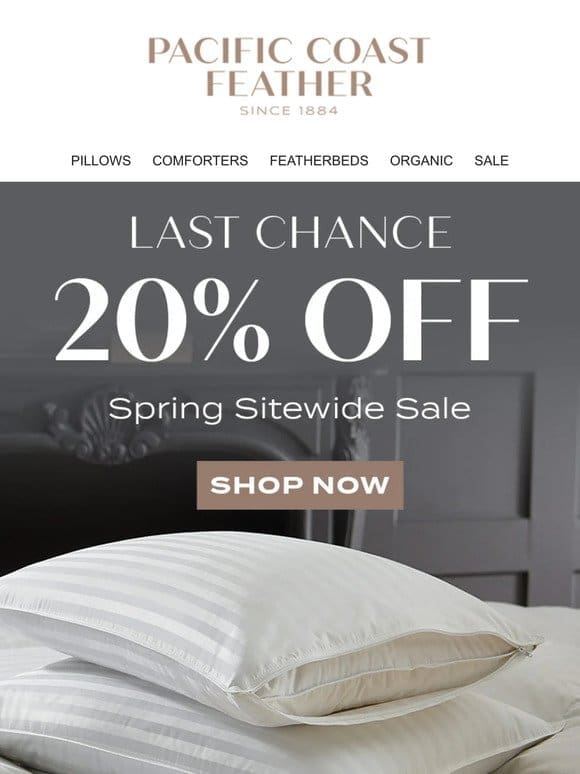 LAST CHANCE! 20% OFF Sitewide Ends Today