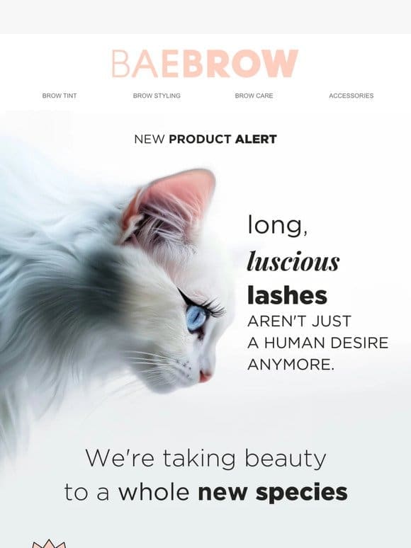 Lash & Brow Care FOR PETS? Why not?