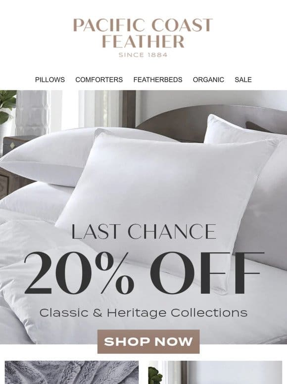 Last Chance to Shop 20% OFF Customer Favorite Collections