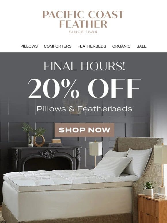 Last Chance to Shop 20% OFF Pillows & Featherbeds