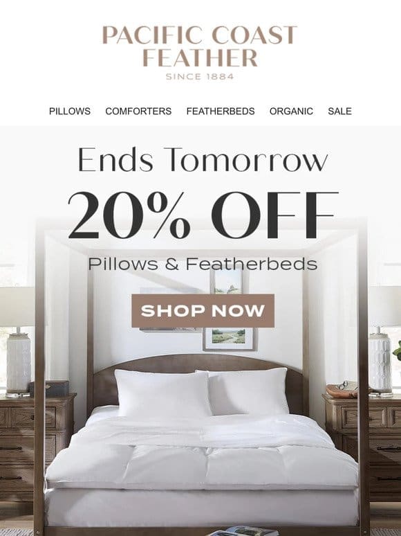 Last Days to Grab Your Dream Featherbed 20% OFF
