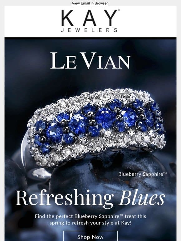Le Vian Blueberry Treats are now here