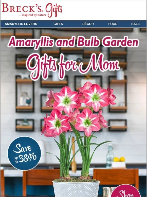 Mother’s Day Delivery Deadline is May 3rd | Save up to 38%