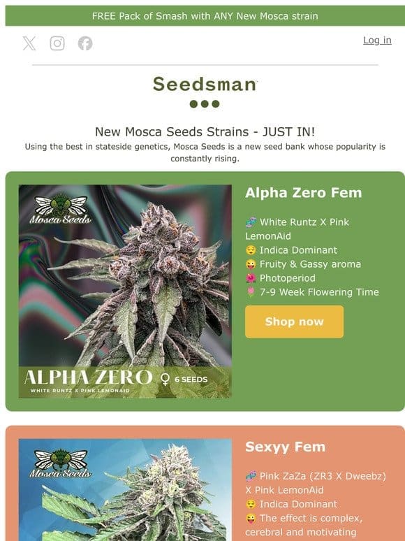 NEW NEW NEW! Mosca Seeds Strains!