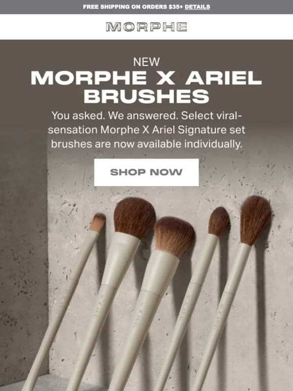 NEW from Morphe X Ariel.
