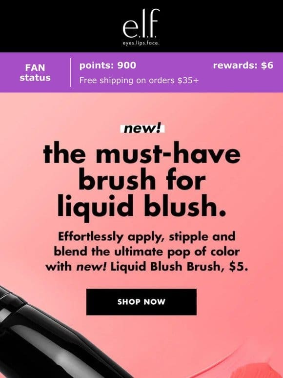 NEW  ️ Liquid Blush Brush