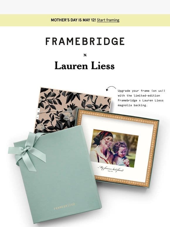 New! Framebridge x Lauren Liess