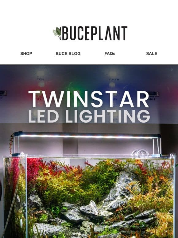 New LED Lighting ✨ Twinstar SA with Hanging Kit!