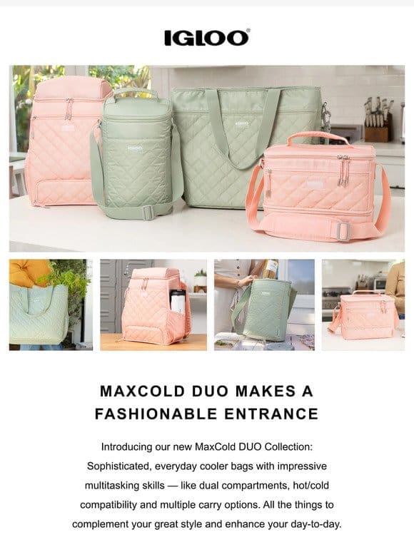 New MaxCold DUO: Coolers that’ll make your day.