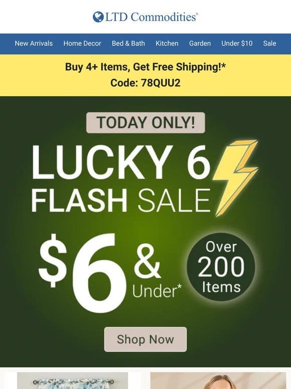 ONE DAY ONLY! $6 & Under Flash Sale!