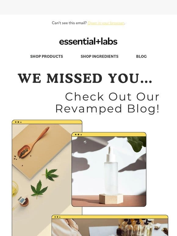 Our Blog is Back! Celebrate with Savings