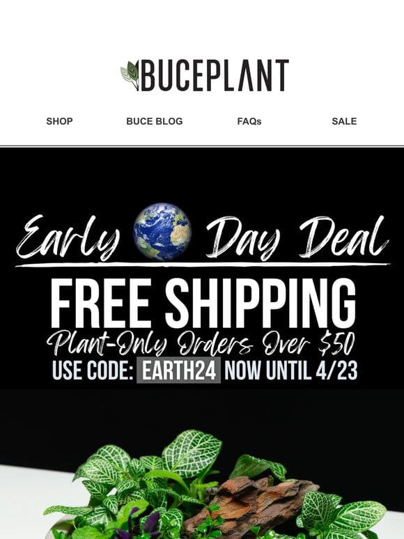 Plants Ship Free on Orders $50+