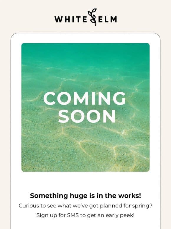 Psst… Something New is Coming!