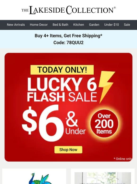 STARTS NOW! $6 & Under Flash Sale!