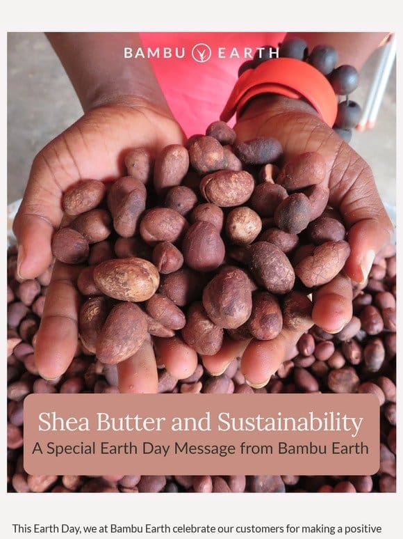 Shea Butter and Sustainability