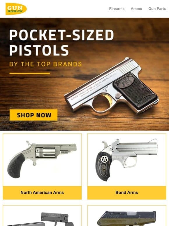 Shop Pocket Sized Pistols by the top brands