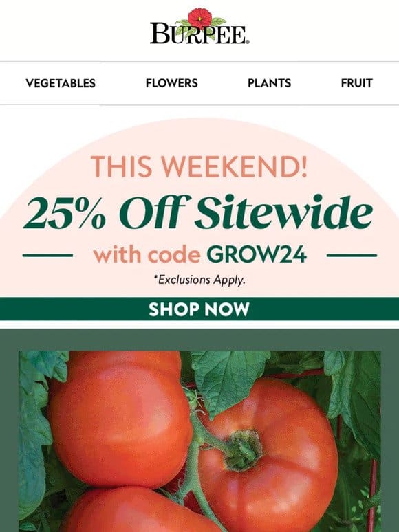 Shop for your garden now – 25% off