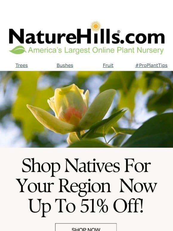Shop native plants for your region now up to 51% off!