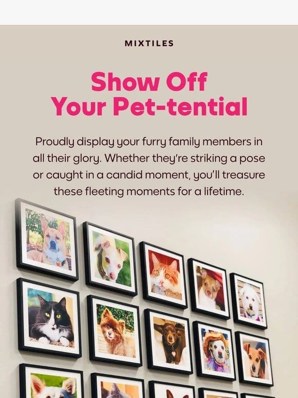 Show Off Your Pet-tential