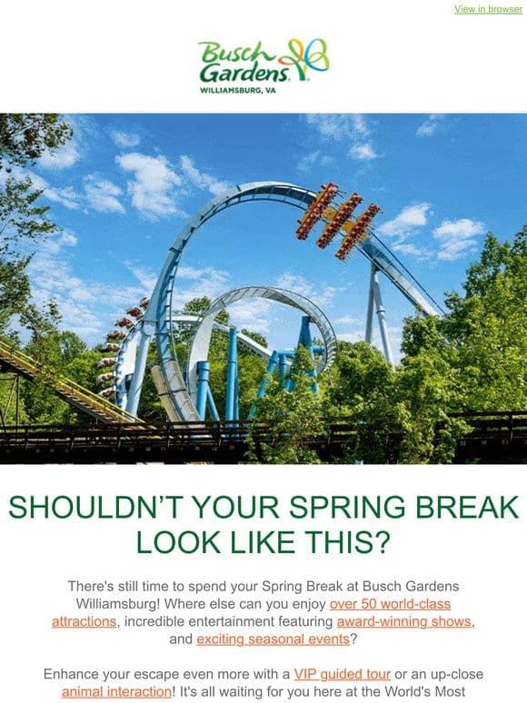 Spend Spring Break at Busch Gardens!