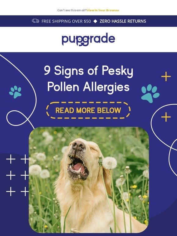Spring Allergies Got Your Pup Down? Here’s How to Tell…