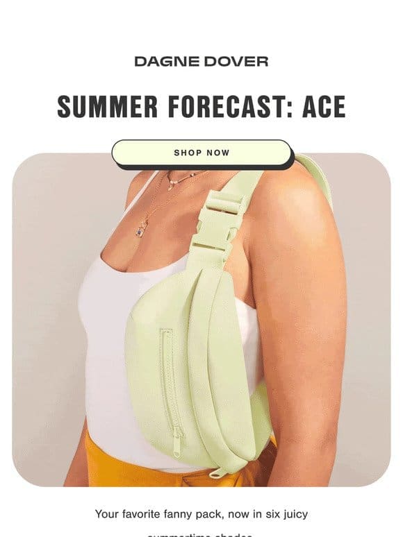 The Ace Fanny Pack， in 6 new colors.