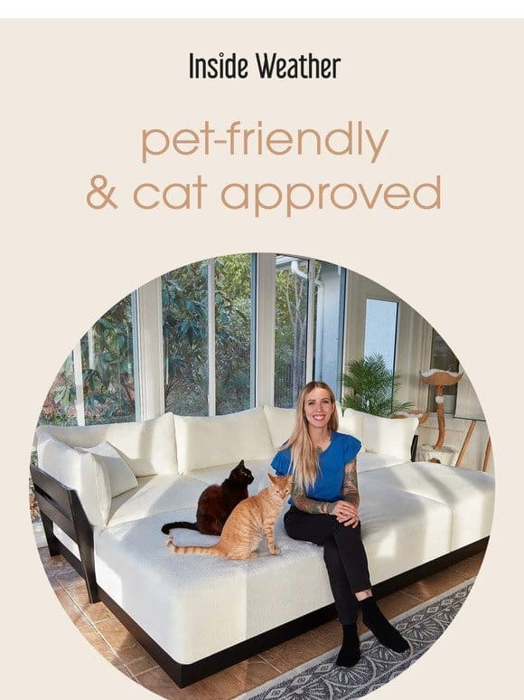 The Kitten Lady’s favorite sofa is…